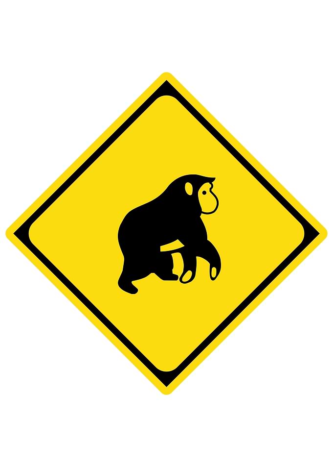 Japanese Caution Road Sign