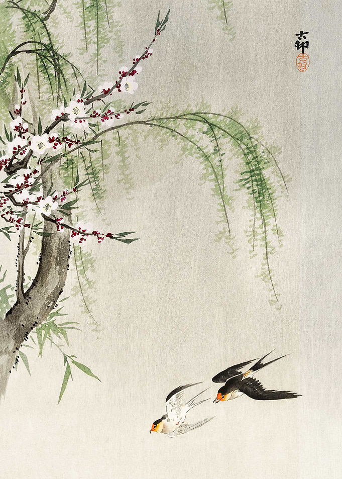 Swallows in flight