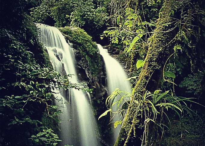 Nature water