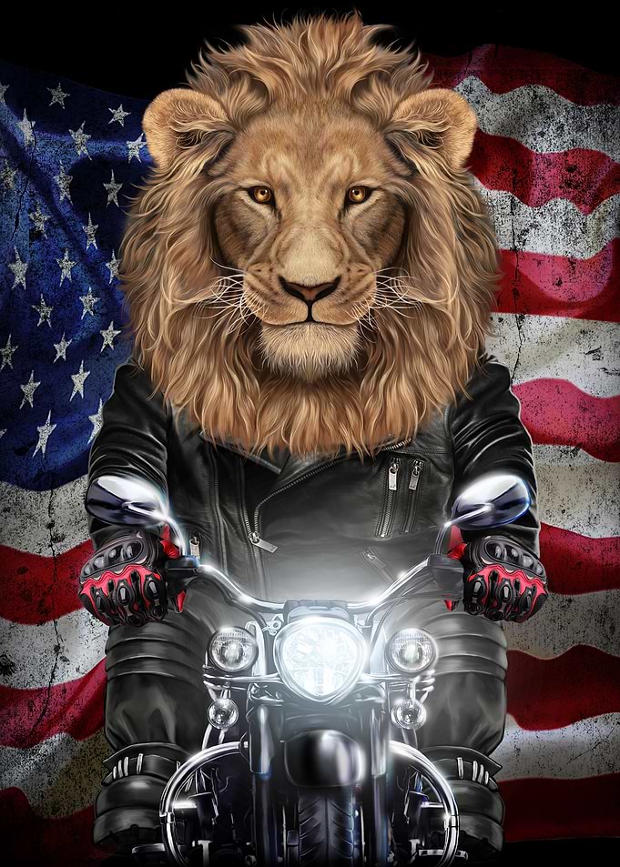 Alpha Lion Ride Motorcycle