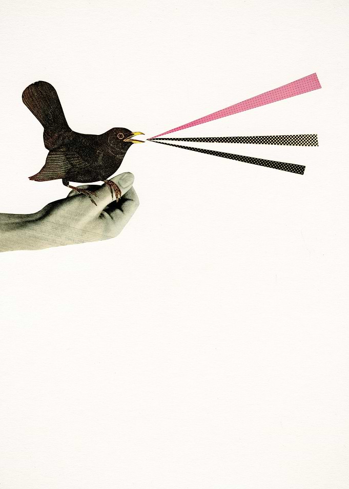 Bird in the Hand