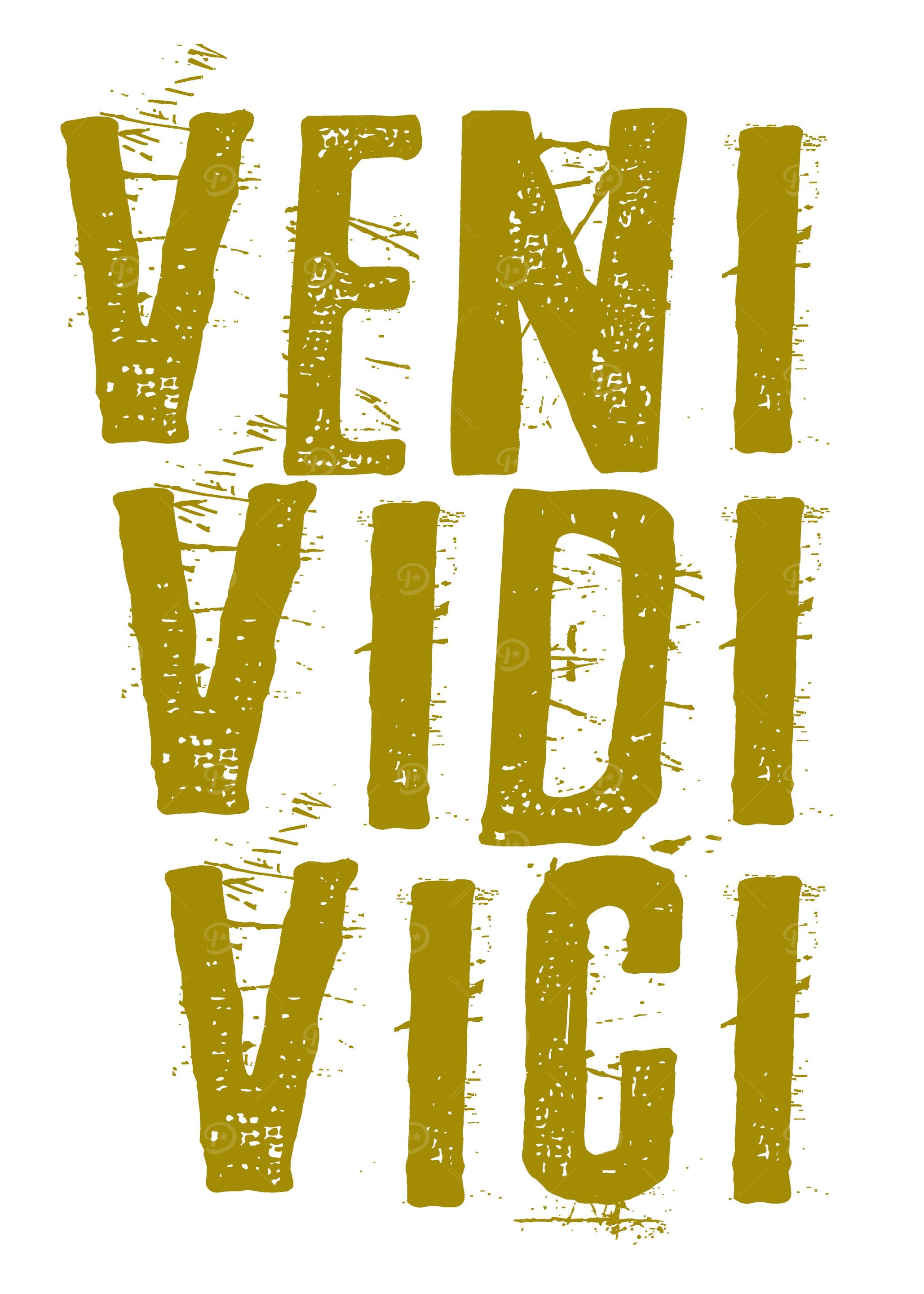 Veni Vidi Vici