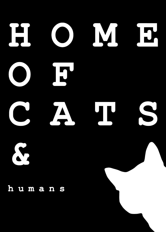 Cat lover home typography