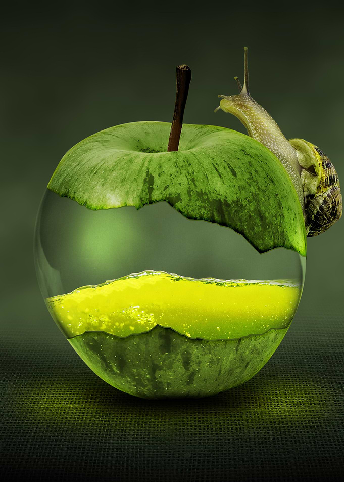 Divine Apple