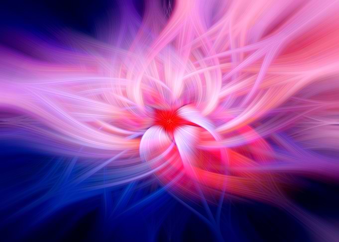Peony