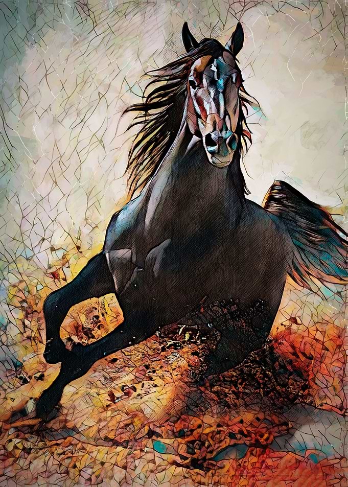 Gallop