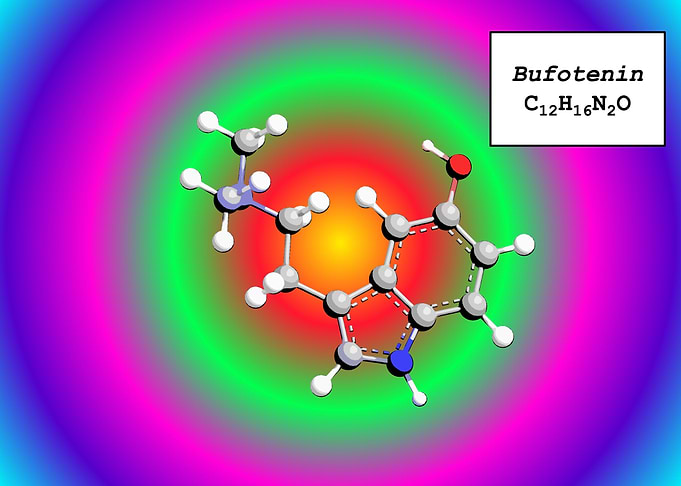 Bufotenin