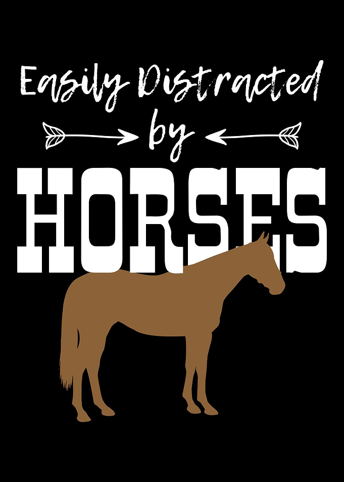Horse Horseback Riding