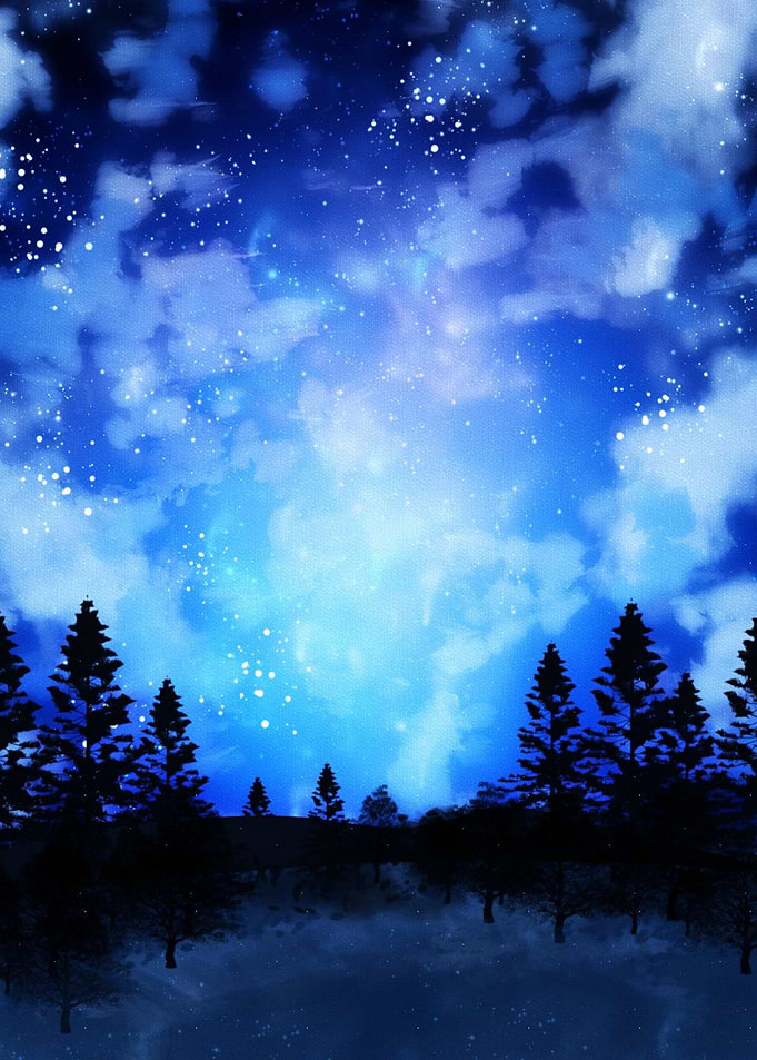 Forest under Starry Sky