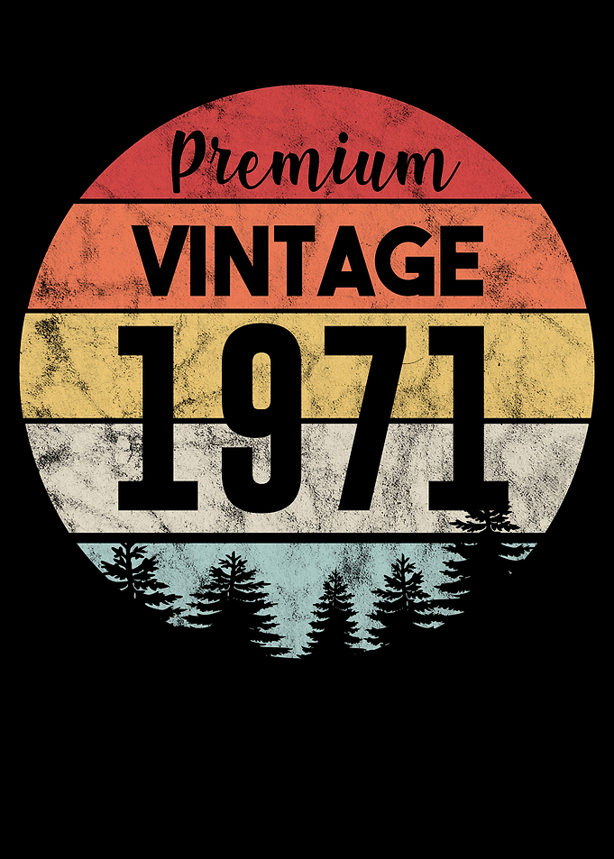 Retro 1971 Birthday Gift