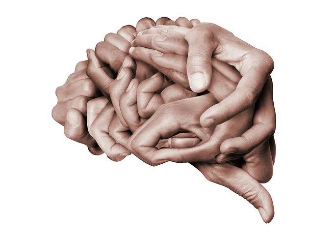 Human brain hands made