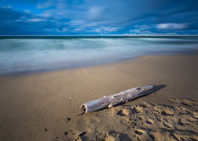 Shine Stick Shore Green Wi