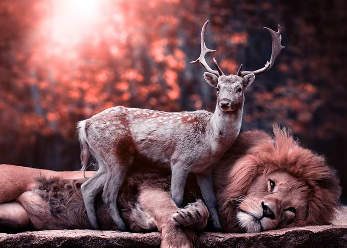 Pure Nature