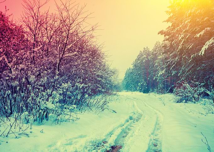 Background Beautiful Beaut