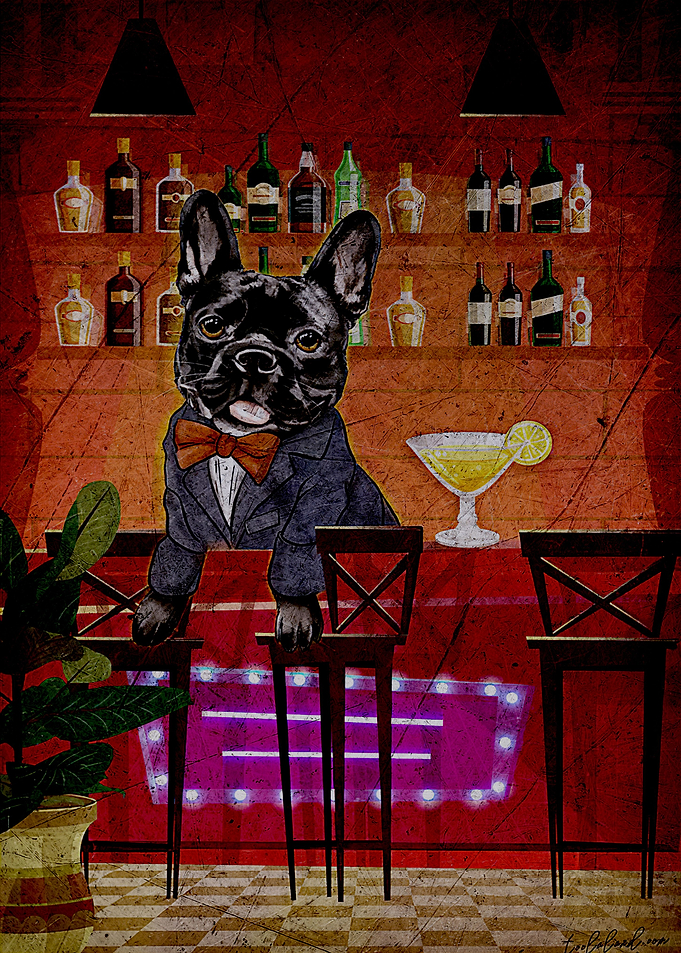 French Bulldog
