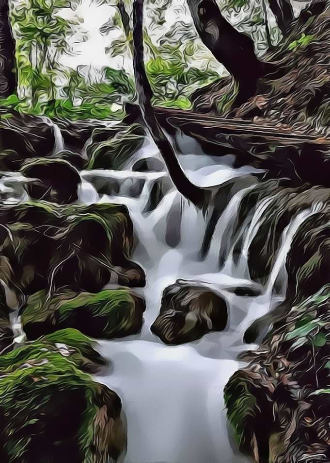 natrure background