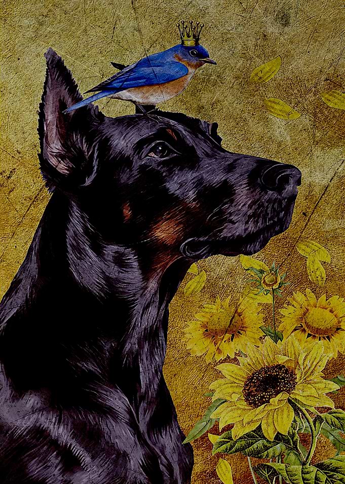 Doberman