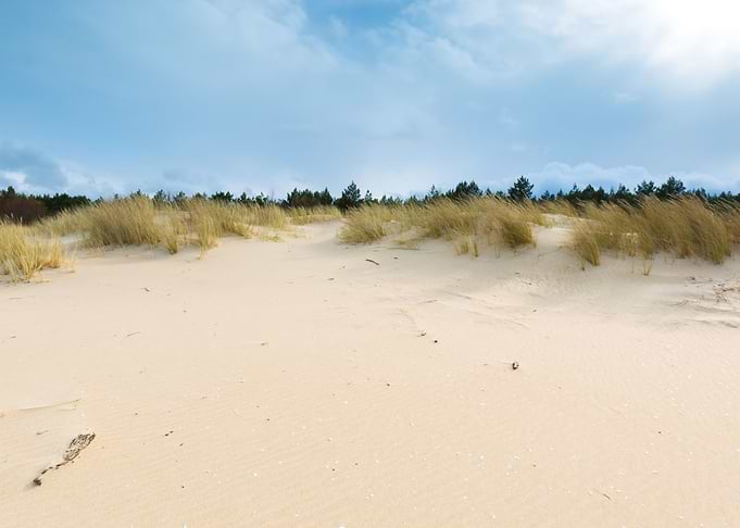 Coast Grass Sand Sea Beach