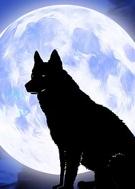 Lone Wolf