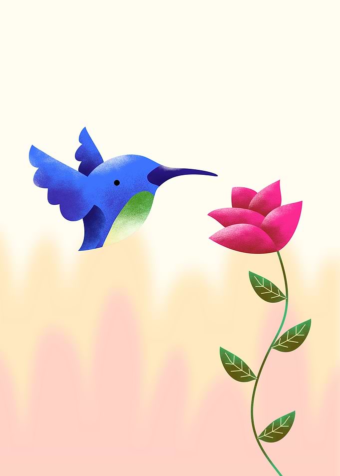 Hummingbird