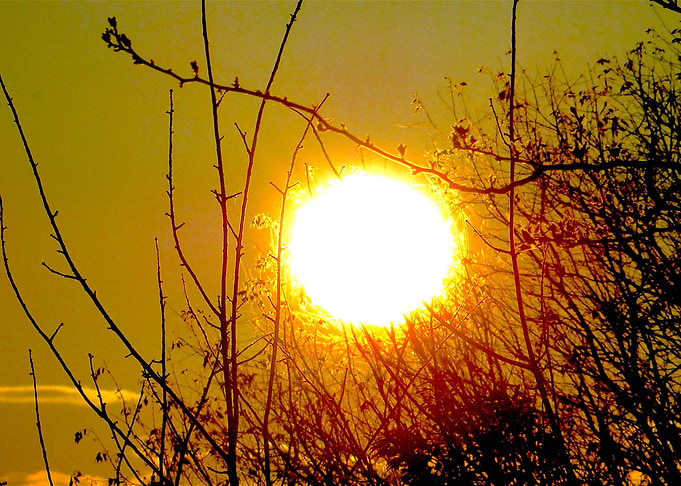 Sun