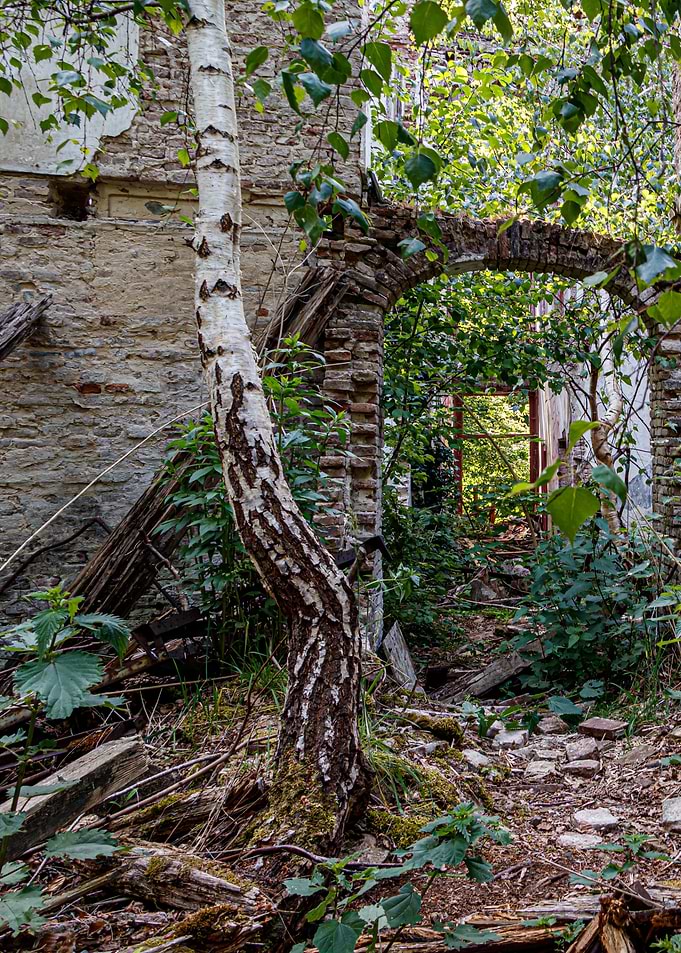 Urban nature