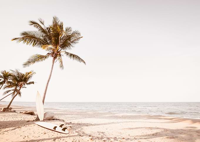 Surfboards On The Beach