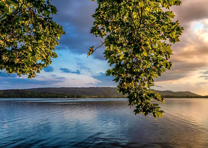 evening light