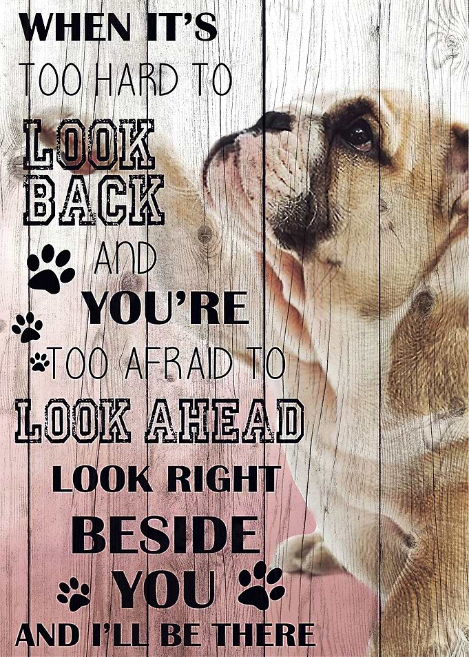 Bulldog