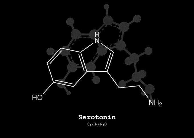 Serotonin