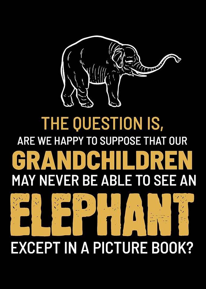 Save Wildlife Elephant Ani