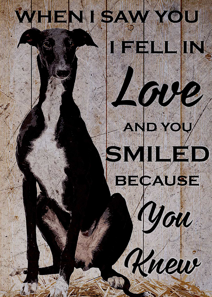 Greyhound