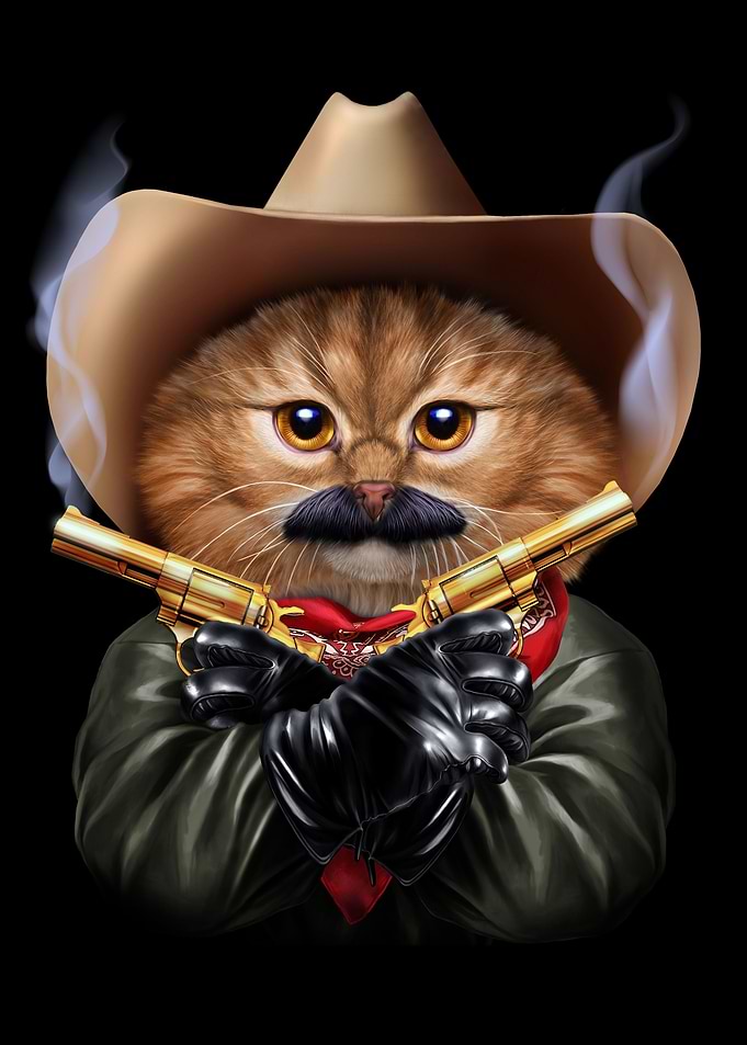 Cowboy Cat with Mustache