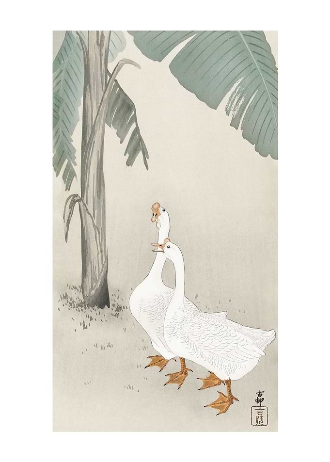 Two geese at banana tree