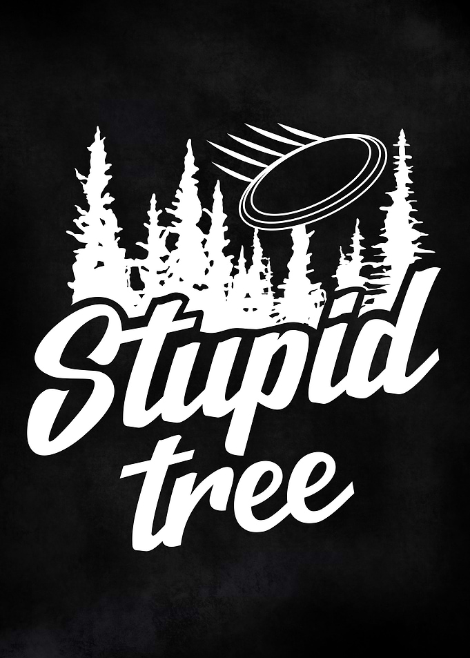 Funny Disc Golf Player Pun