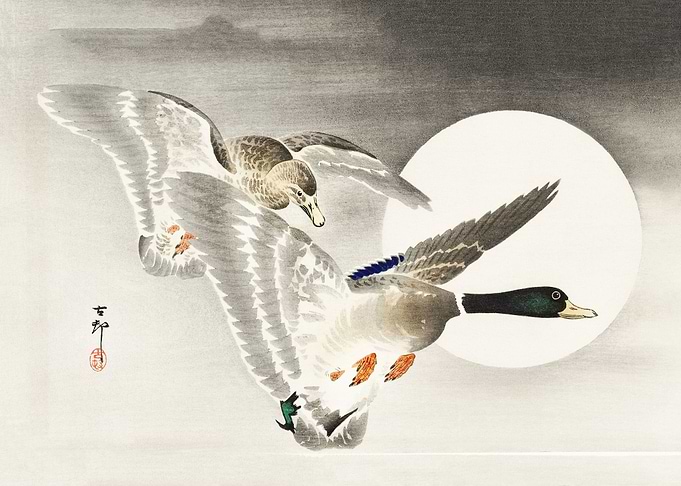 Two ducks at full moon