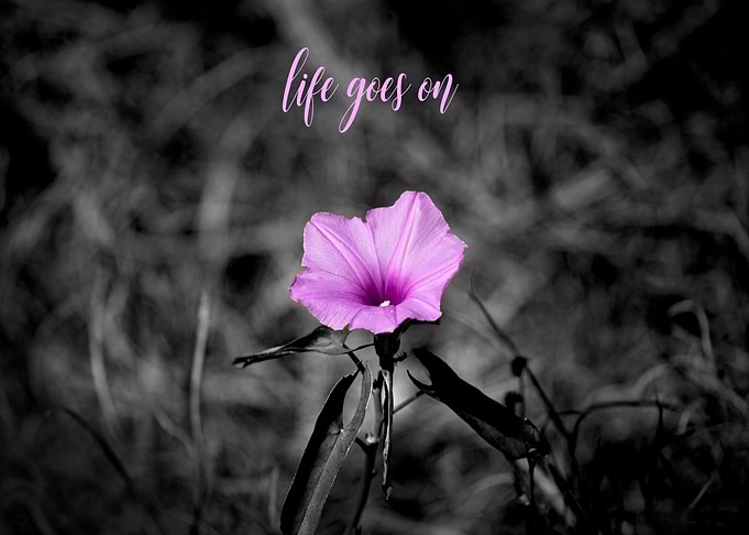 Pink Hope