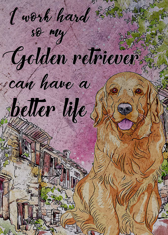 Golden Retriever