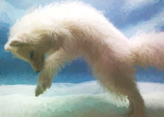 Arctic Fox