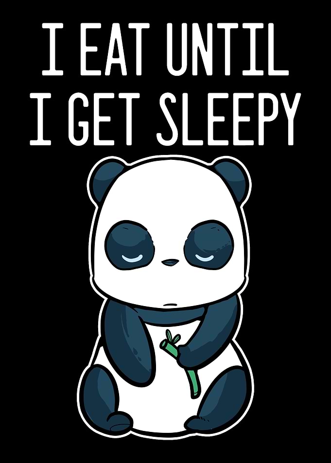 Panda Food Sleep Panda Fan