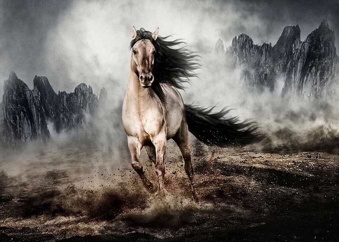 Freedom