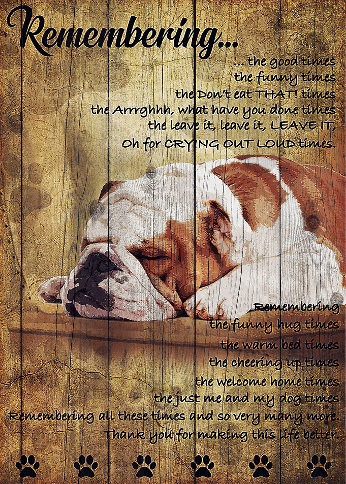 Bulldog