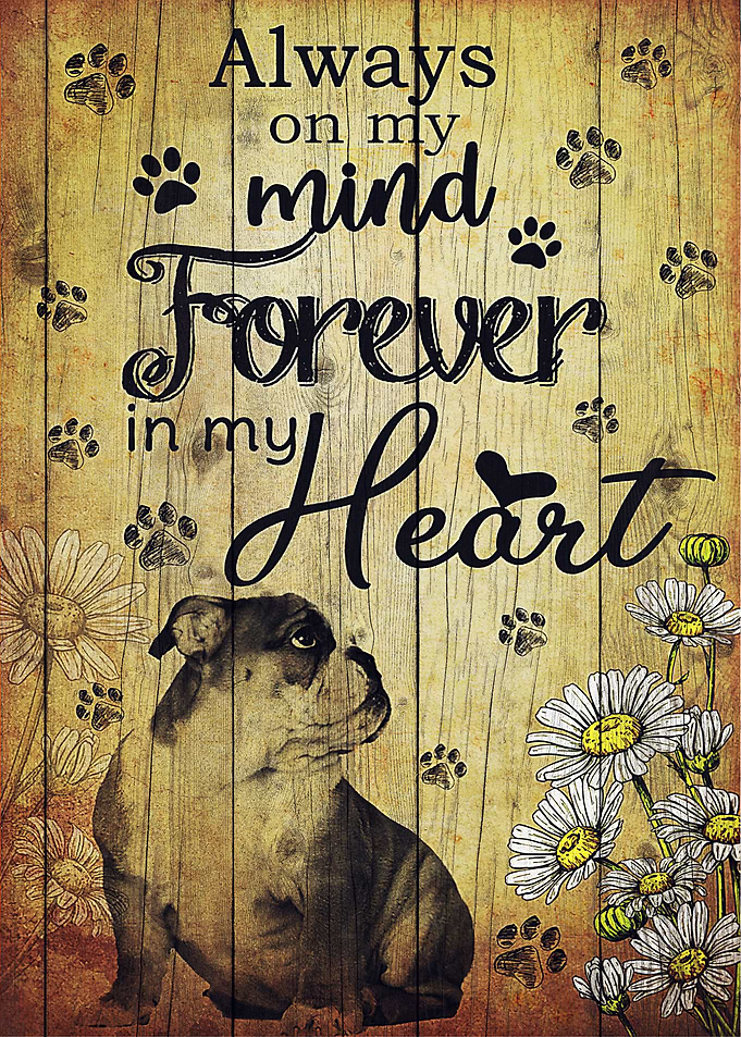 Bulldog