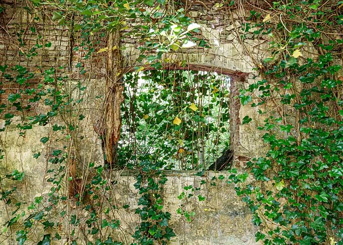 looking out or inside