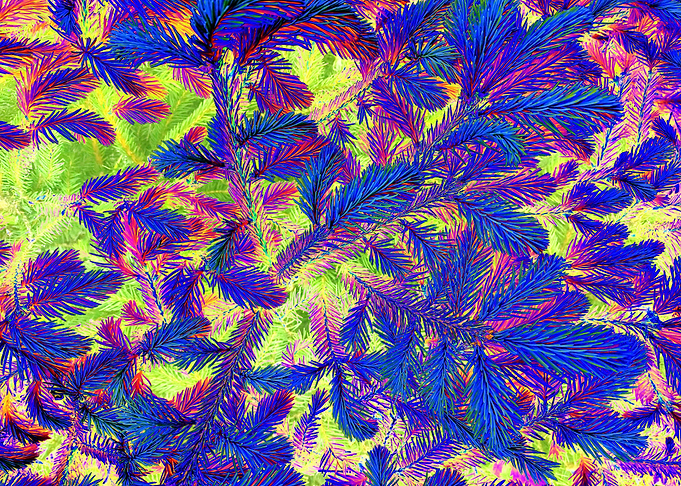 christmas tree