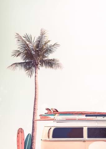 Retro Camper Van Palm Surf