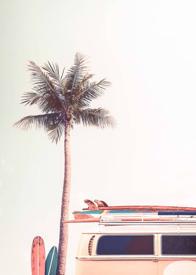 Retro Camper Van Palm Surf
