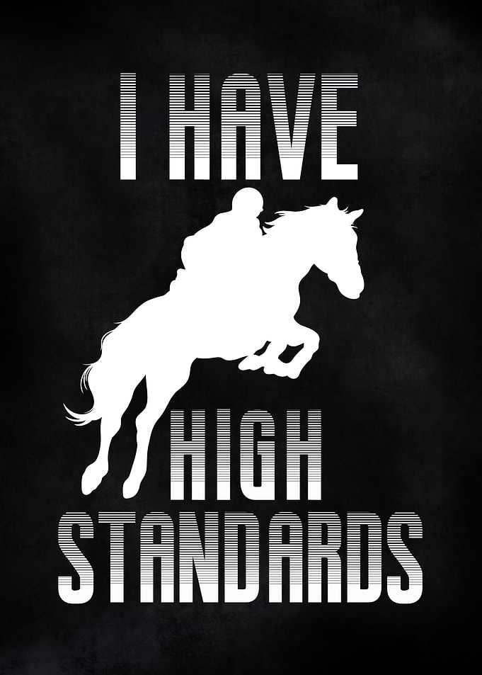 Funny Horse Riding Pun