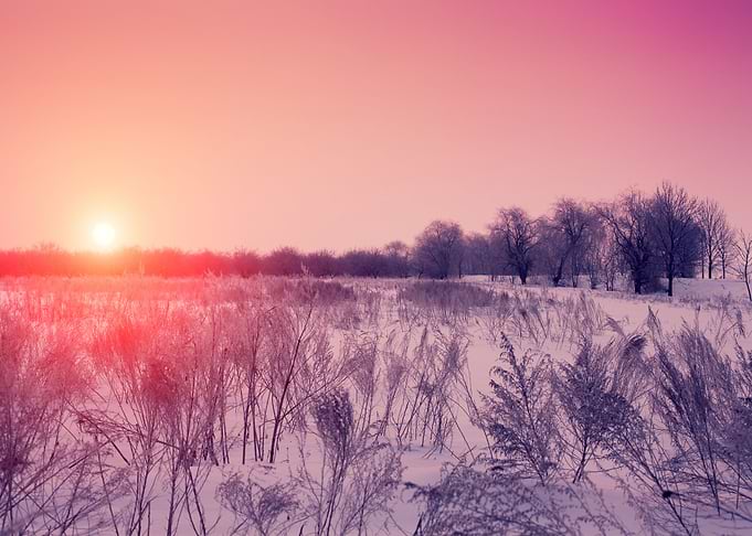 Background Bright Christma