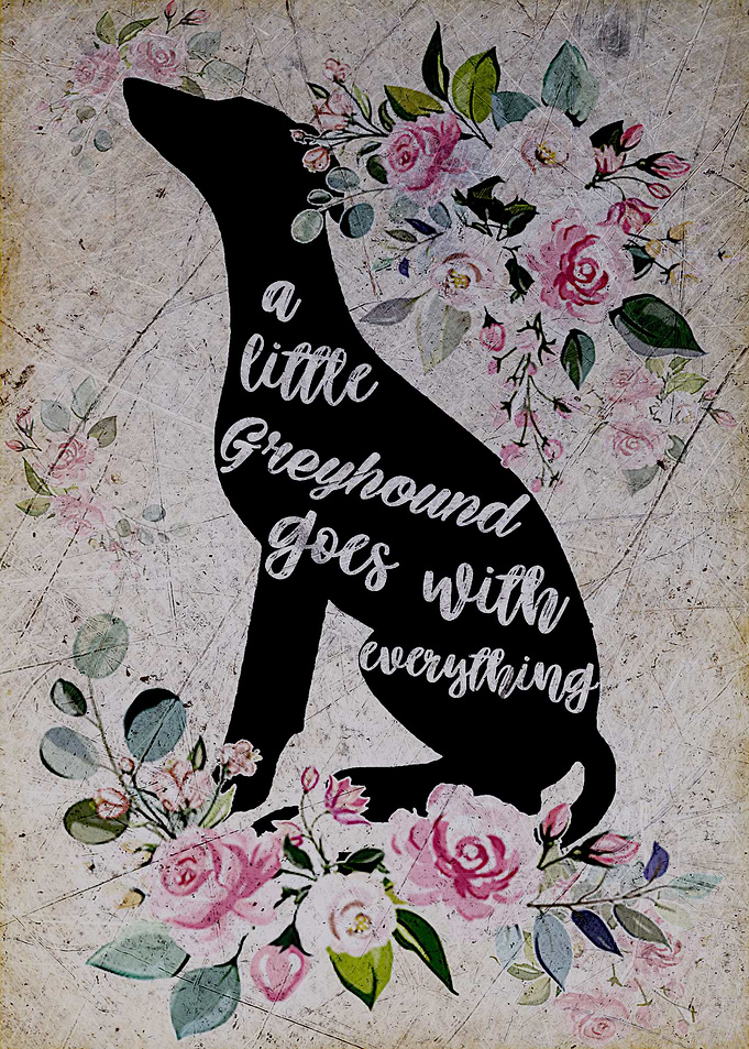 Greyhound